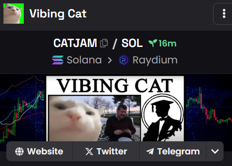 vibingcatcatjam's tweet photo. DEX Screener updated fast for $CATJAM come vibe with the cat 

J5WsCeH7oQ71d1fmSmHAys91BhGfvskWiSvXZmWnco47

https://t.co/kiVuvpZA9T https://t.co/0POwIRBwaQ