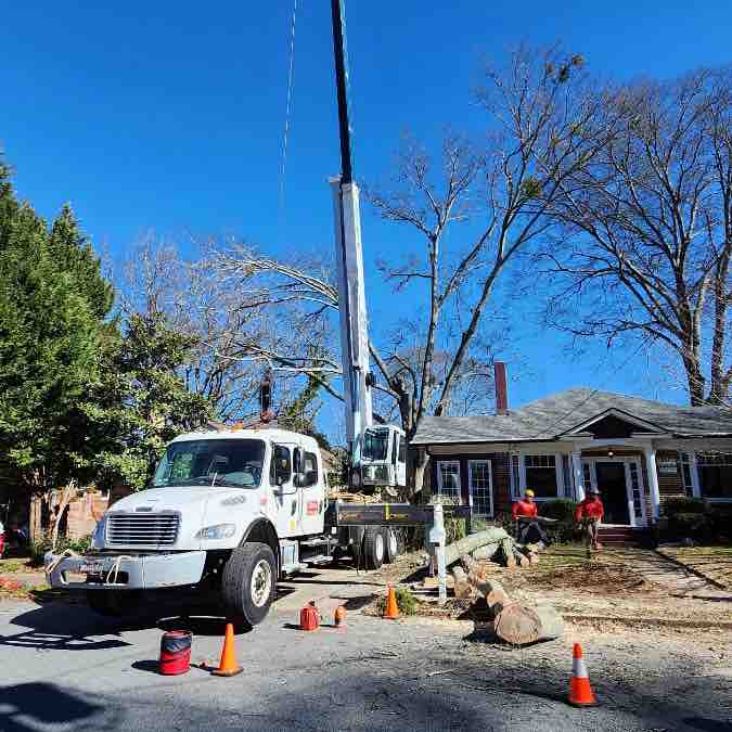 DonsTreeSvc's tweet image. Emergency Tree Service! We got you covered!
#emergencytreeservice #treeremoval #trees #donstreeservice