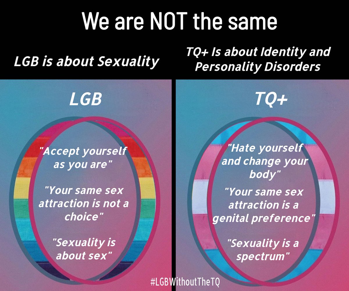 It still baffles me why we all so readily accepted the force teaming the TQ+ on to the LGB as if these two groups have anything in common. They do not. The ONLY defining trait of LGB ppl is same-sex attraction. That's it. The TQ+ seeks to eliminate the very NOTION of sex (and in…