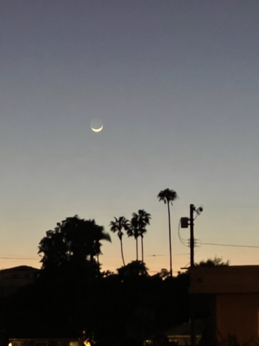 plyteboy's tweet image. GM y’all! Had a micro moment when I realized I’m further from where I started than I thought! Black Bird 🦅 

You can do anything you work for…believe that!! Love y’all and go bet it! 

I play by ear so my bad if chords are wrong 😑 😆🫠

#P5C #producer