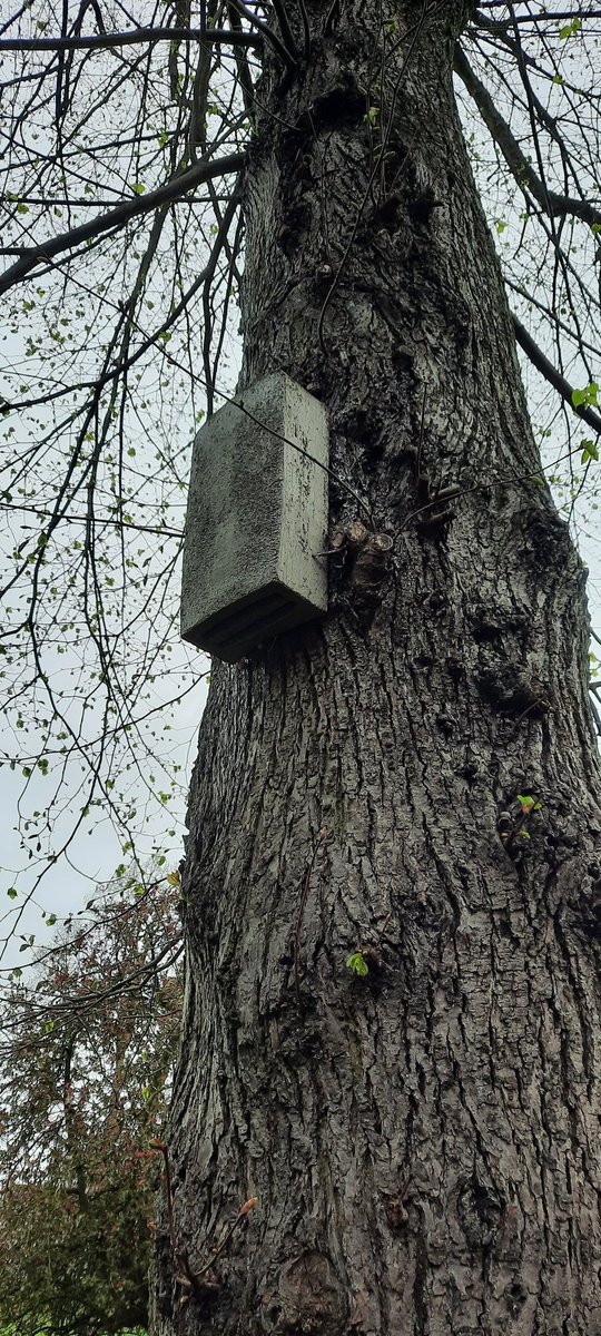 Can someone - @MyNottingham @open_nottingham @LeftLion @nottspolice @VisitNotts or anyone else - explain what these are (in Nottingham General Cemetery)?