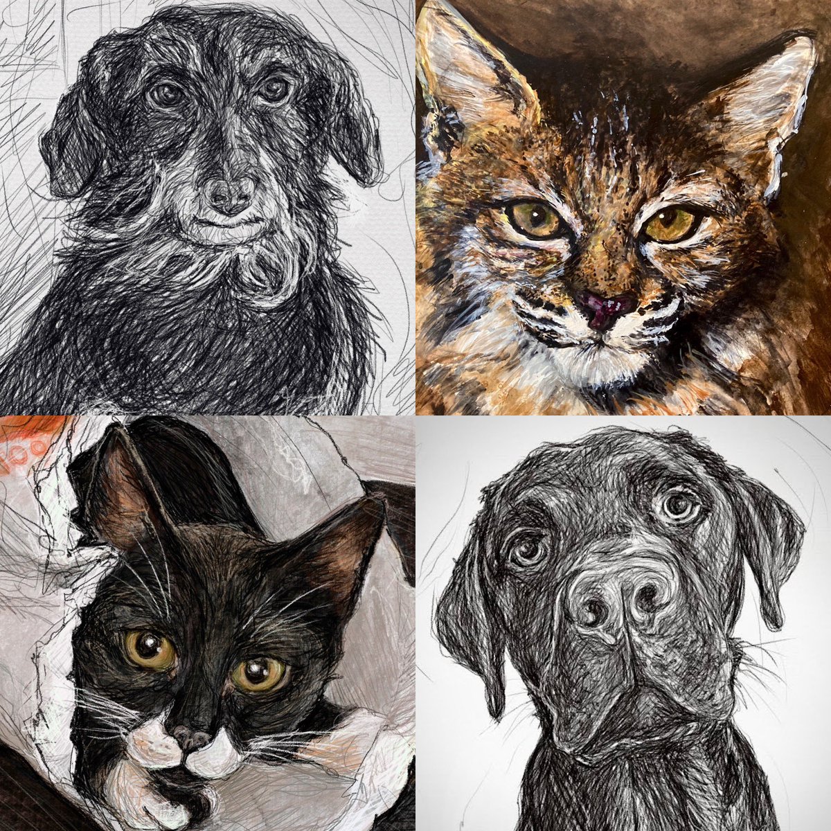 It’s #InternationalPetDay today!🖤#petportraits #cats #dogs #CatsOnTwitter #CatsOnX
