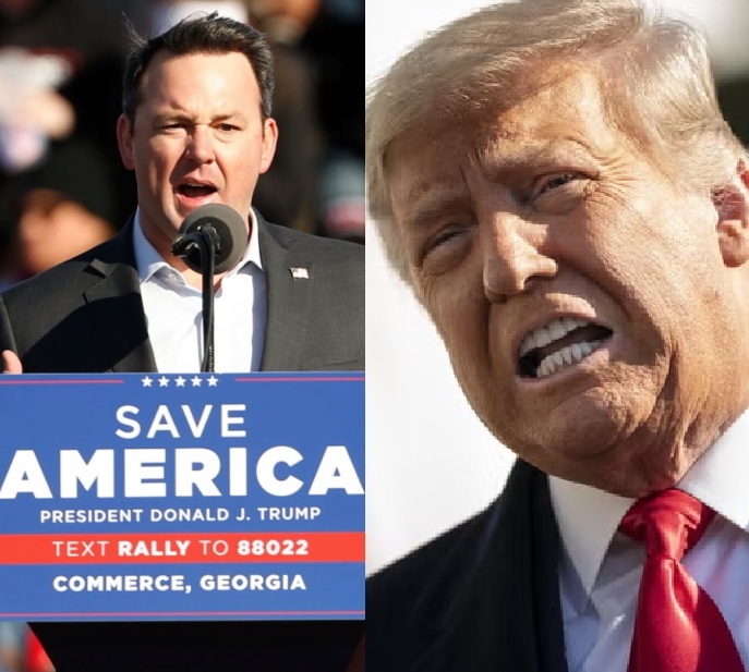 Occupy Democrats tweet media