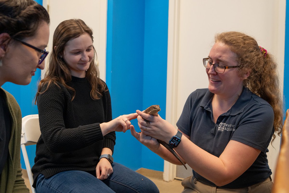 Get up close with our Reptiles Up Close Encounter! Meet three different reptiles (aquarist’s choice) and learn about each species’ natural history, care, and conservation. Each guest is welcome to pose for a commemorative photo op. Learn More: bit.ly/3XDyUAk