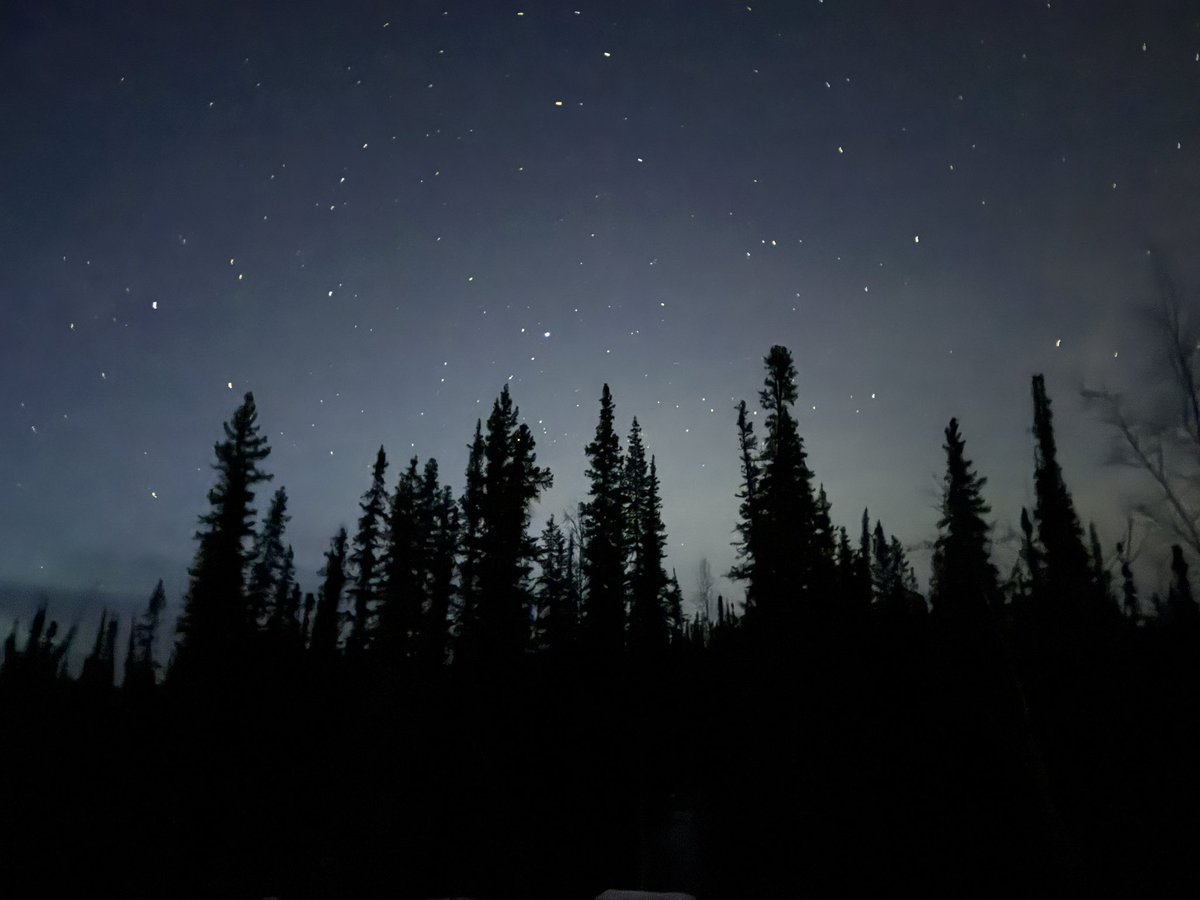 JooCanrio3's tweet image. Now in Seattle. Returning home tomorrow after a great scientific campaign in Alaska. Fieldwork for next year is now schedule. Photo from last night at “Northern Lights Parking Lot” in Fairbanks.  @cqe_lisboa @deqist @istecnico