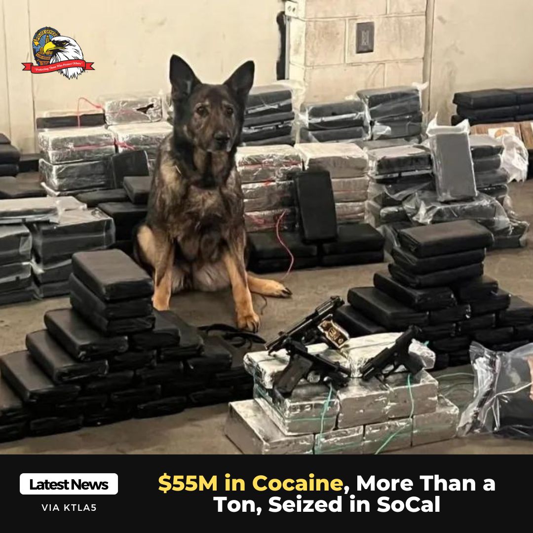 That’s a ton of cocaine. Literally. Approximately $55M worth was seized after search warrants were executed across Southern California in a joint operation between LAPD’s Gang and Narcotics Division and Glendale PD. Along with the cocaine, US currency and firearms were seized as…