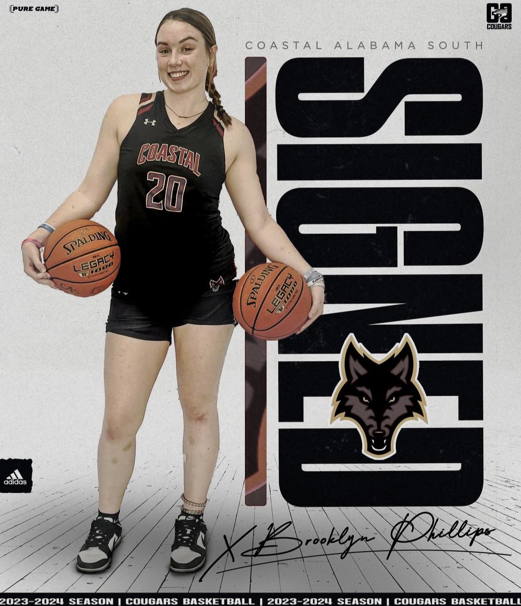 Brooklyn Phillips tweet media