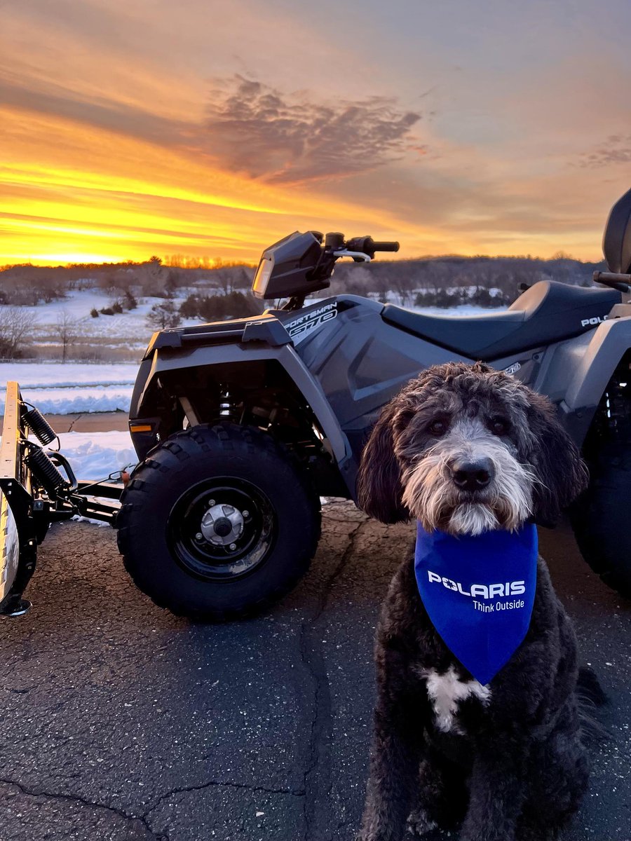 Happy #NationalPetDay from our Polara-pets to yours. #THINKOUTSIDE