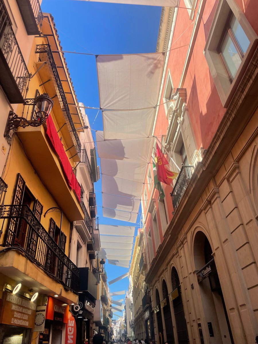 Es 11 de abril y los numerosos sevillanos que a estas horas pasean por el centro ya disfrutan de la sombra ☀️ que ofrecen los toldos.

👍🏻 Hemos trabajado con rapidez antes de que lleguen las altas temperaturas.

😉 No tengo otro objetivo que hacer la vida más fácil a mis vecinos.