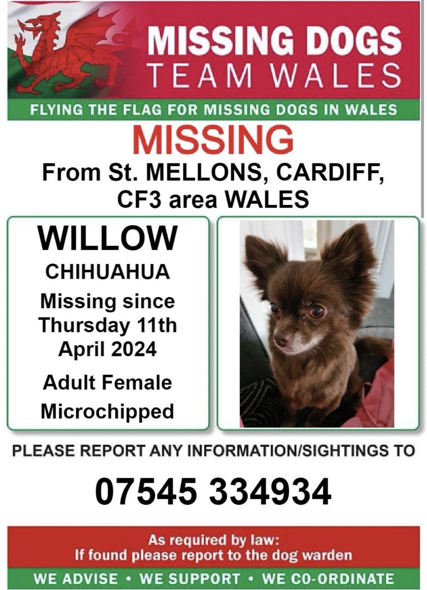 🔺PLEASE DO NOT CALL OR CHASE, SIGHTINGS ONLY 🔺 LAST SEEN ON #A48 NEAR #GARDENCENTRE. #StMELLONS ❗❗WILLOW, Missing From #StMELLONS, #CARDIFF, #CF3 Area #WALES ❗❗ ❗SINCE THURSDAY 11th APRIL 2024. ❗PLEASE DO NOT CHASE, CALL NUMBER WITH ANY SIGHTINGS/INFORMATION ❗