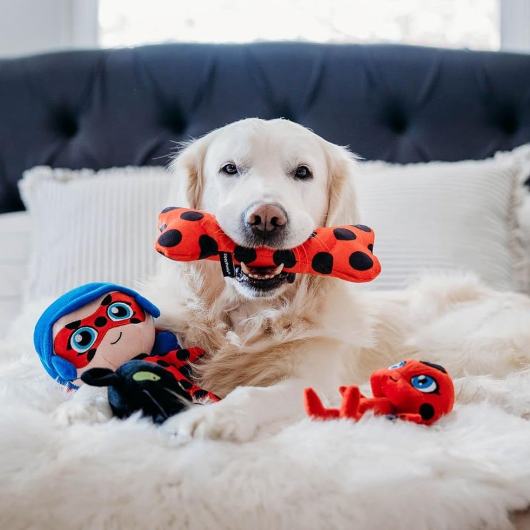 🇺🇸Check out the @ZippyPaws Miraculous Cat Noir Rope Gliderz & Miraculous Patterned Bone Lucky Charm! 🐶🦴 🥏Cat Noir Rope Gliderz: a.co/d/4jrQpih 🦴Patterned Bone Lucky Charm: a.co/d/9zNxfFZ 🔗Find them on @Amazon! #zippypaws #pettoys #miraculousladybug