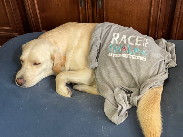 #KnowFH #KnowLpa #RaceToSaveMoreHearts My trusty pal Rocket & I are raising money to support the mission of the @TheFHFoundation to save generations of families from heart disease. Any donations greatly appreciated - even$1!! ✅ out our fundraising page - give.familyheart.org/fundraiser/542…