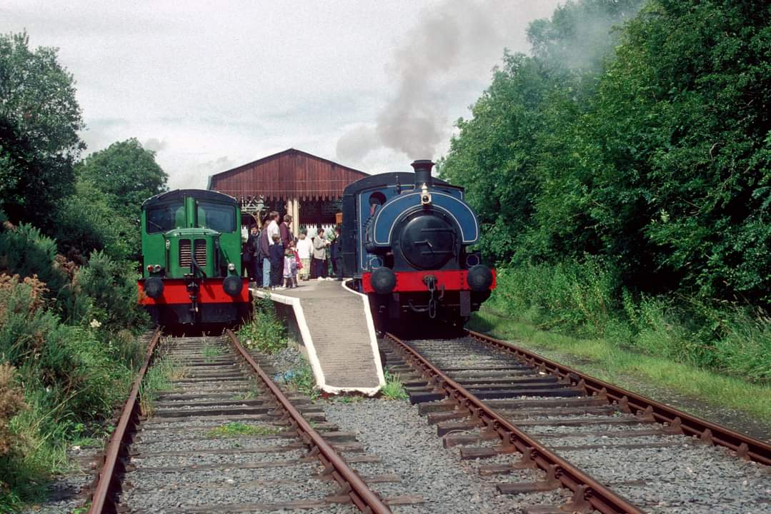 For this #ThrowbackThursday we’re going back to Downpatrick Loop in the 1990s with an atmospheric photo from our friend Anthony Gray.

The steam loco on the right is 3BG “Guinness”, built 1919, which was restored by DCDR while on loan from the RPSI.