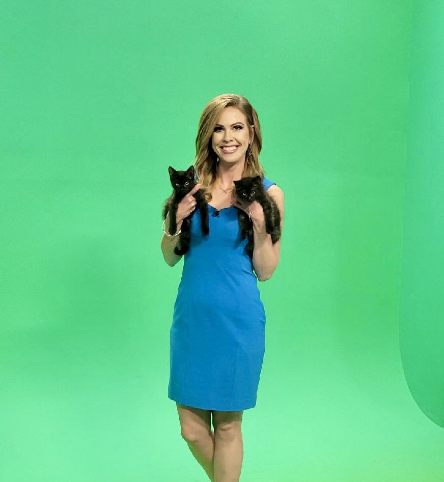 Krystle Long tweet media