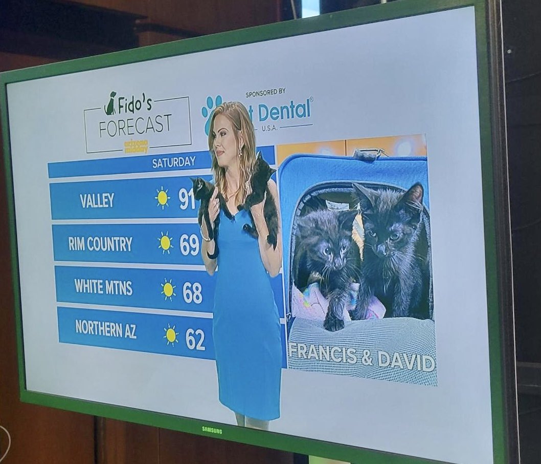 Krystle Long tweet media