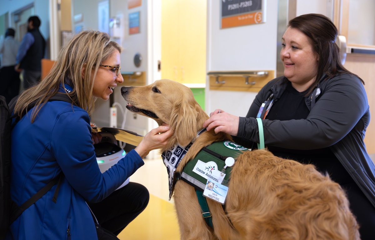 One month down! 👑 Baron — also fondly known as King of the Peanut Butter — has been a part of the facility dog team at Penn State Health for 1️⃣ month today. #NationalPetDay “Every day, we see the positive, uplifting effect our facility dogs have on patients at the Children’s…