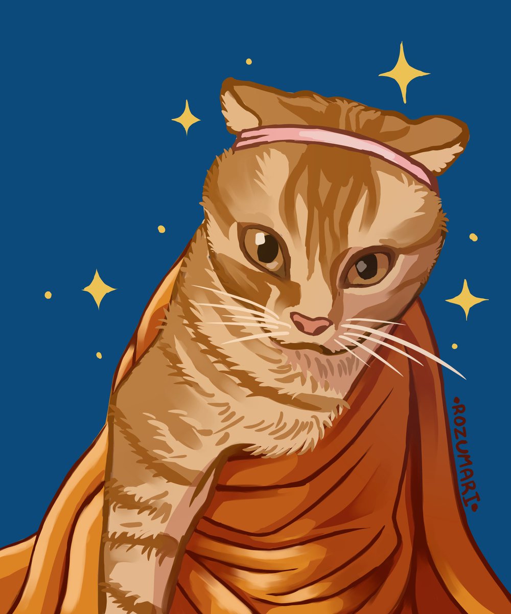 ZRozumari's tweet photo. Otro gato 🐈 https://t.co/MHWl0M3oST