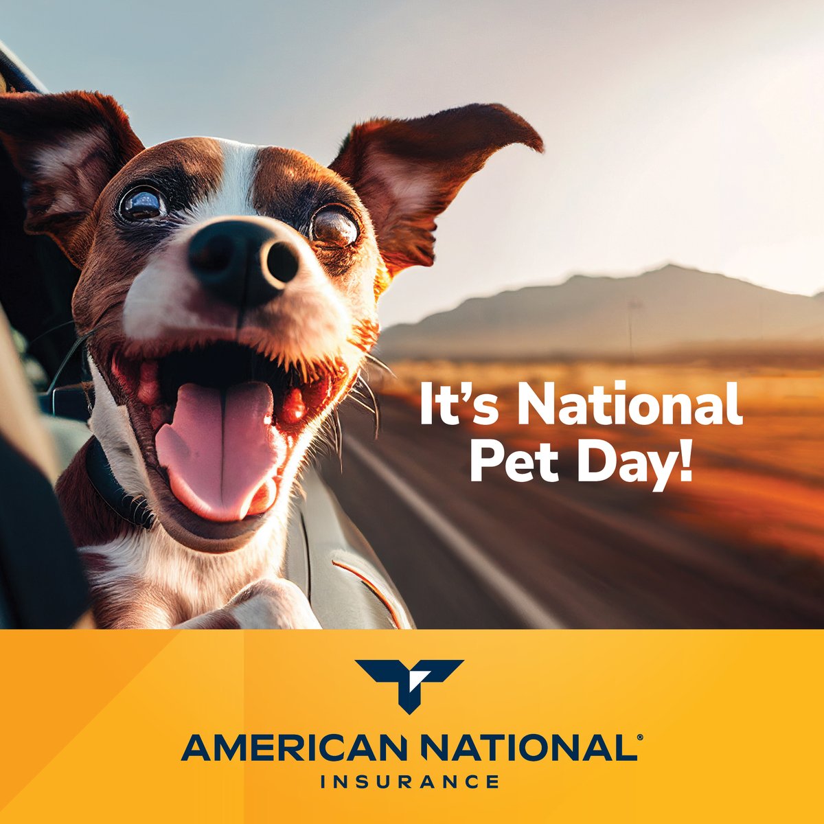 ThePiedGrp's tweet photo. Celebrating our furry friends today and every day, Happy National Pet Day! Share a photo of your pet below! https://t.co/UqRCcvODBR