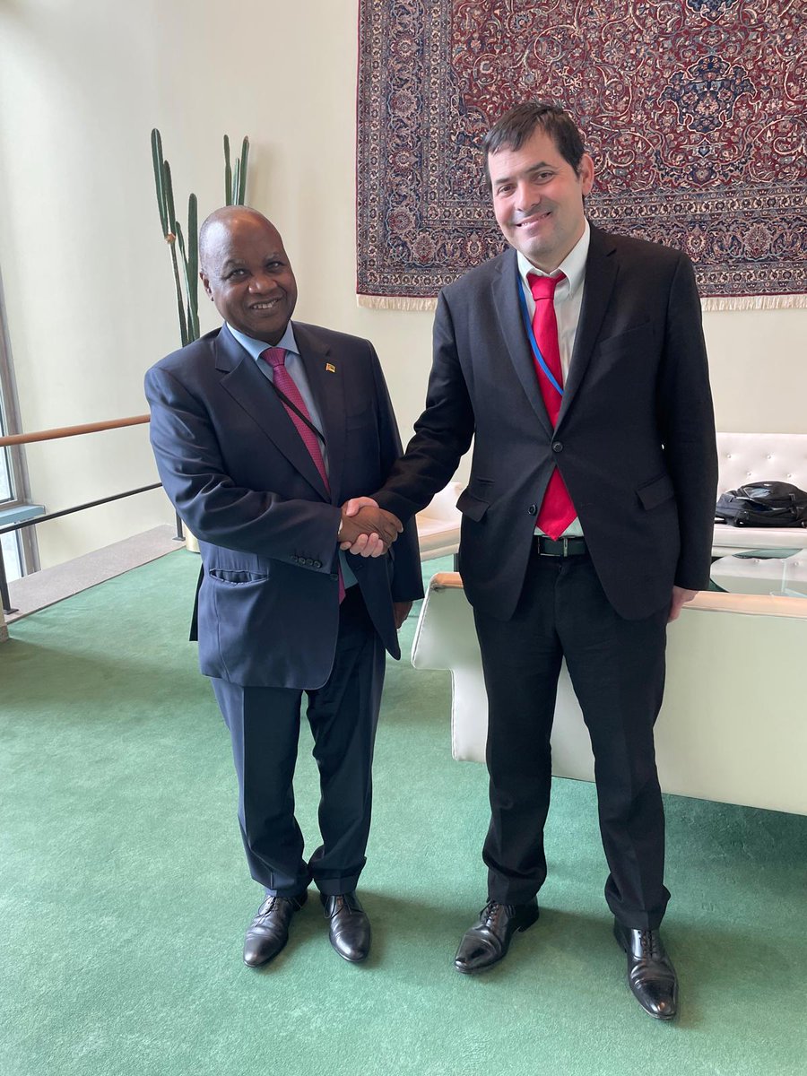 Ambassador Stevanović met with H.E. Mr. Pedro Comissário Afonso, PR of Mozambique to the UN.