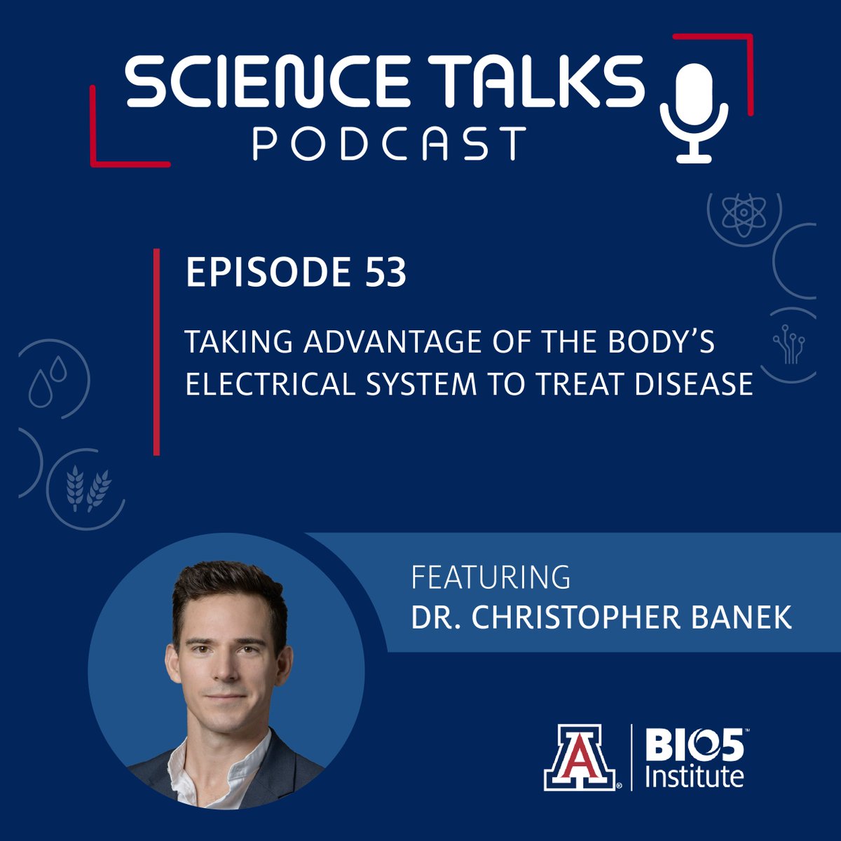 See how we can manipulate the body's nervous system to treat cardiovascular & kidney disease in our latest podcast featuring @UAZMedTucson Dr. Christopher Banek @Banek_Lab: Taking advantage of the body’s electrical system to treat disease. Listen & read: bit.ly/3VPoWxT