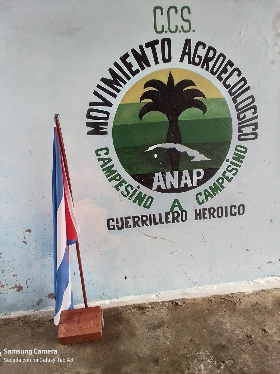 Cada día somos más los integrantes #AnapCuba #Cuba
