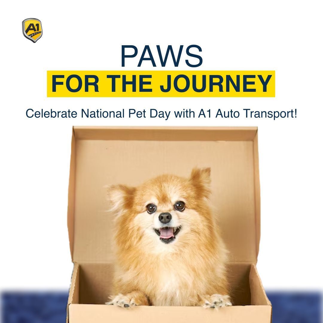 Moving with your furry friend? 🐩 

A1 Auto Transport offers safe and comfortable pet relocation services too! Get a free quote for your next move. 🌟 

👉 Get a free estimate: a1autotransport.com

#A1autoservices #ontheroadagain #a1autotransport #transport #carmoving