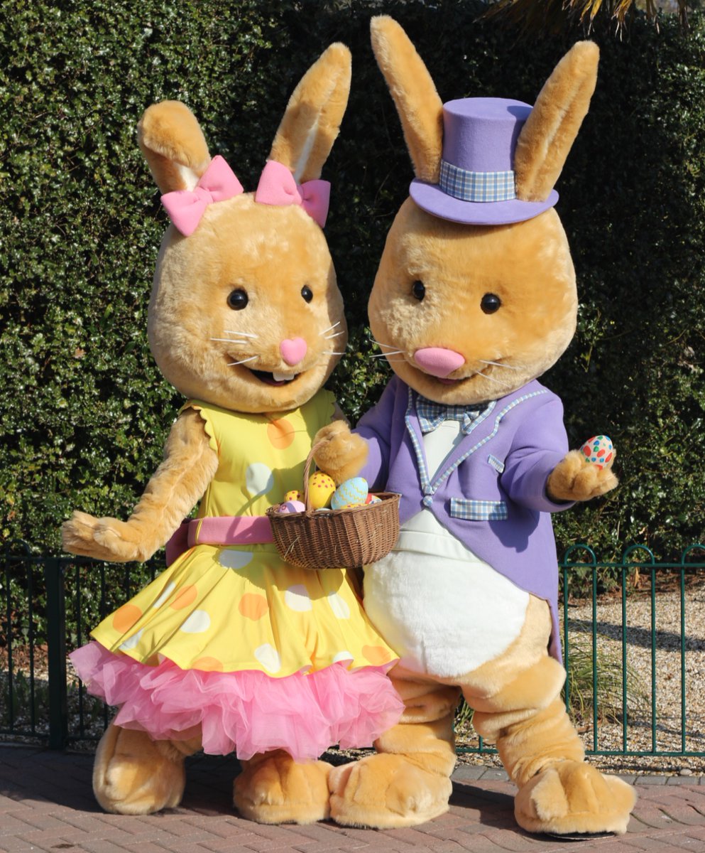 It's your last chance to meet Betty and Bobtail Bunny 🐰 Our Hoppy Easter event ends on 15th April! Pop down this weekend before they hop off for another year. Make sure you give them extra big cuddles! 🤗 paultonspark.co.uk/tickets/ 🎫