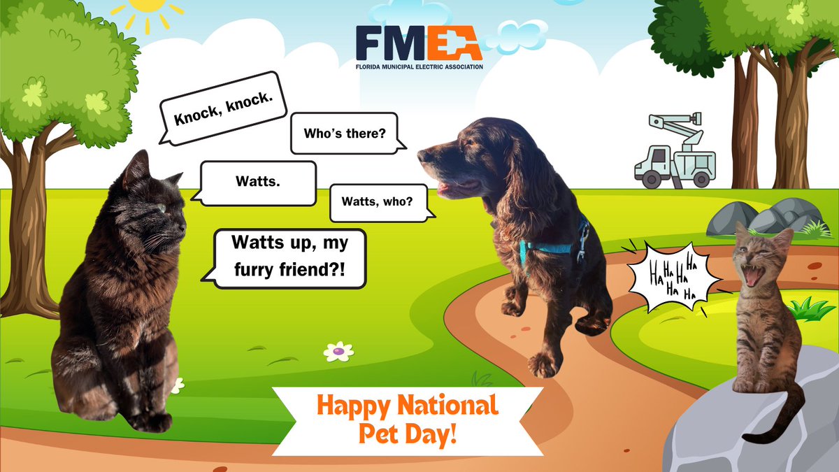 Enjoy a little #FLPublicPower humor for you on this #NationalPetDay, courtesy of three FMEA pets! #PublicPower