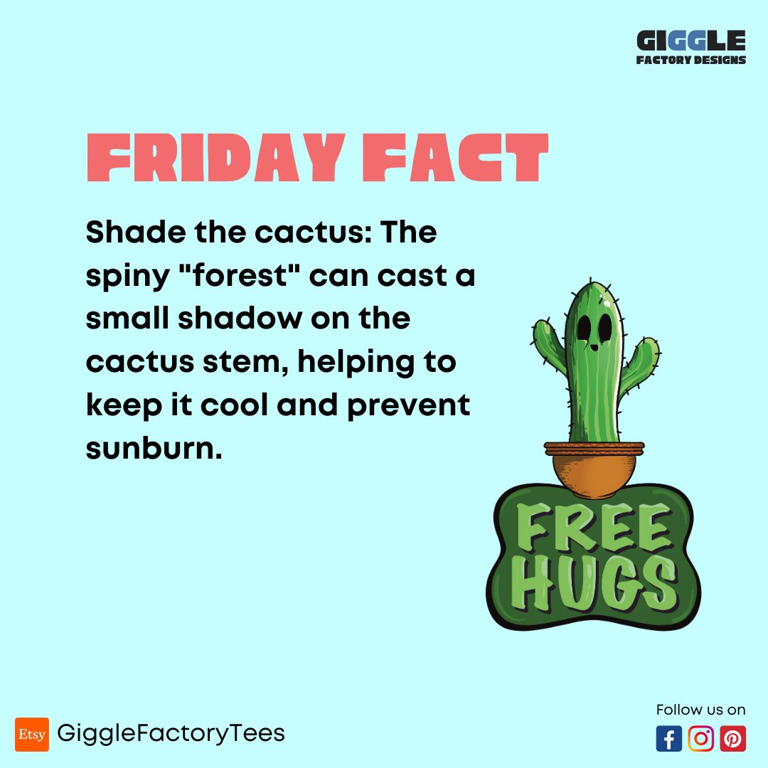 #FridayFact: Ever noticed a cactus casting a shadow on its own stem? 🌵☀️ Turns out, those spiny 'forests' offer some natural shade, keeping the cactus cool and protected from sunburn. Nature's built-in sunscreen!' 🌿🌞
.
Check out my shop
Etsy Shop tinyurl.com/bdfth979

#fact