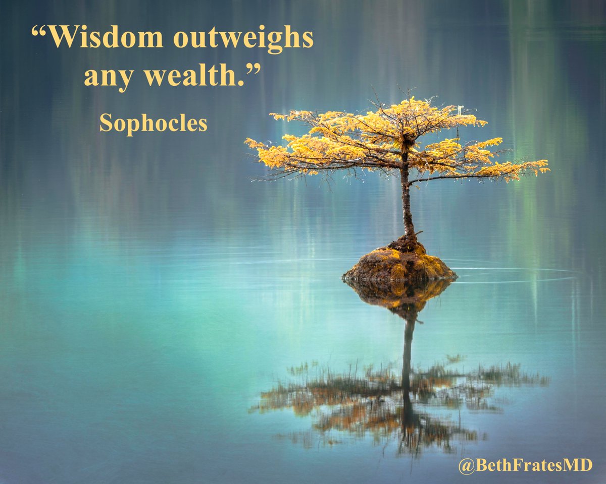 Food for thought..... 'Wisdom outweighs any wealth.' If you have wealth and no wisdom, you are likely to squander your $$. With wisdom, you can help to make the world a better place day in and day out, regardless of $$. 🦉 #thursdayvibes #thursdaythought