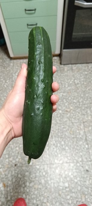 Estoy pensando que hacer con el pepino!! https://t.co/LqfMdktQzw<a href="/tag/miercolesdelenceria"class="tags"><span>#miercolesdelenceria</span></a>