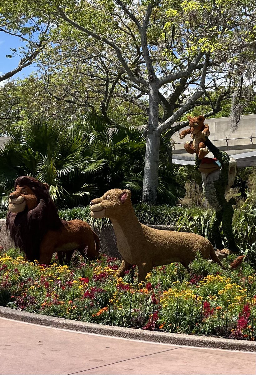 Lion King topiary 🧡💛