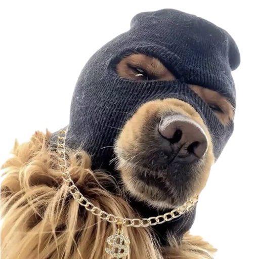 <a href="/metaversejoji/">joji</a> there’s only one dog and it has a mask on 

skiii yeeeEEEE