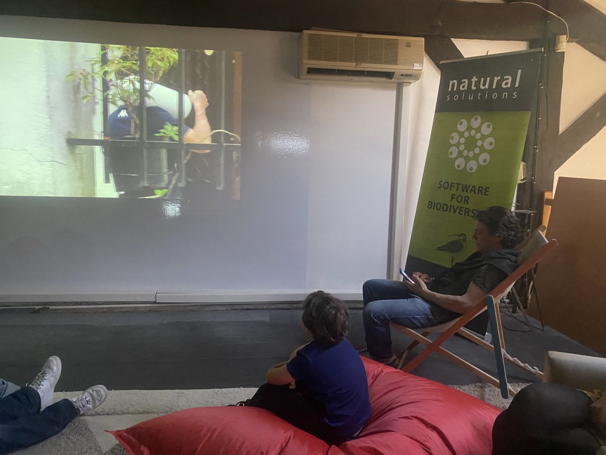 orovellotti tweet media