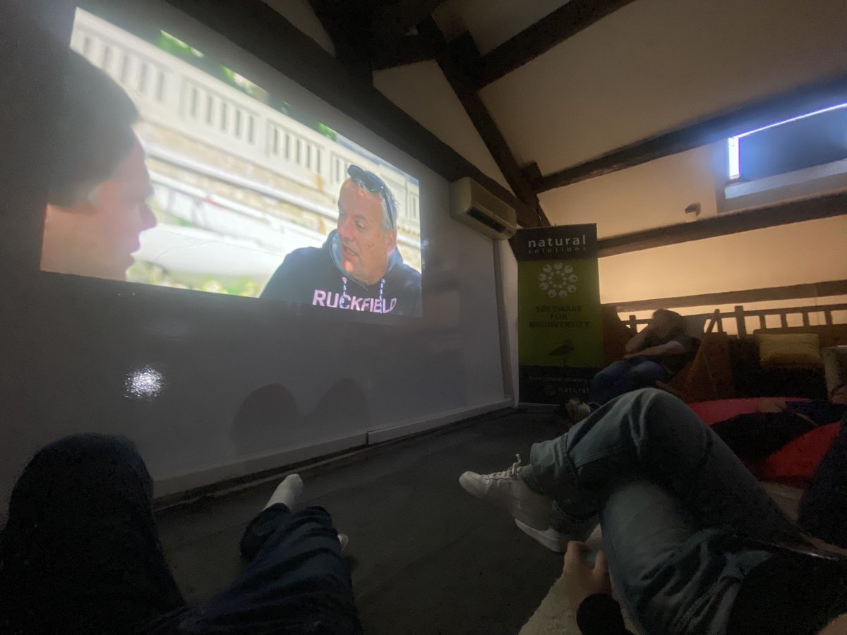 orovellotti tweet media