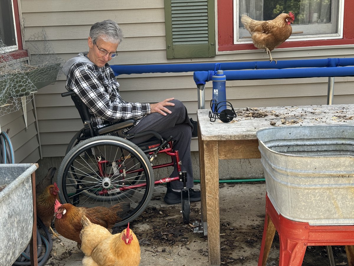 My dad's the new chicken whisperer (they hang around him because he always drops food)