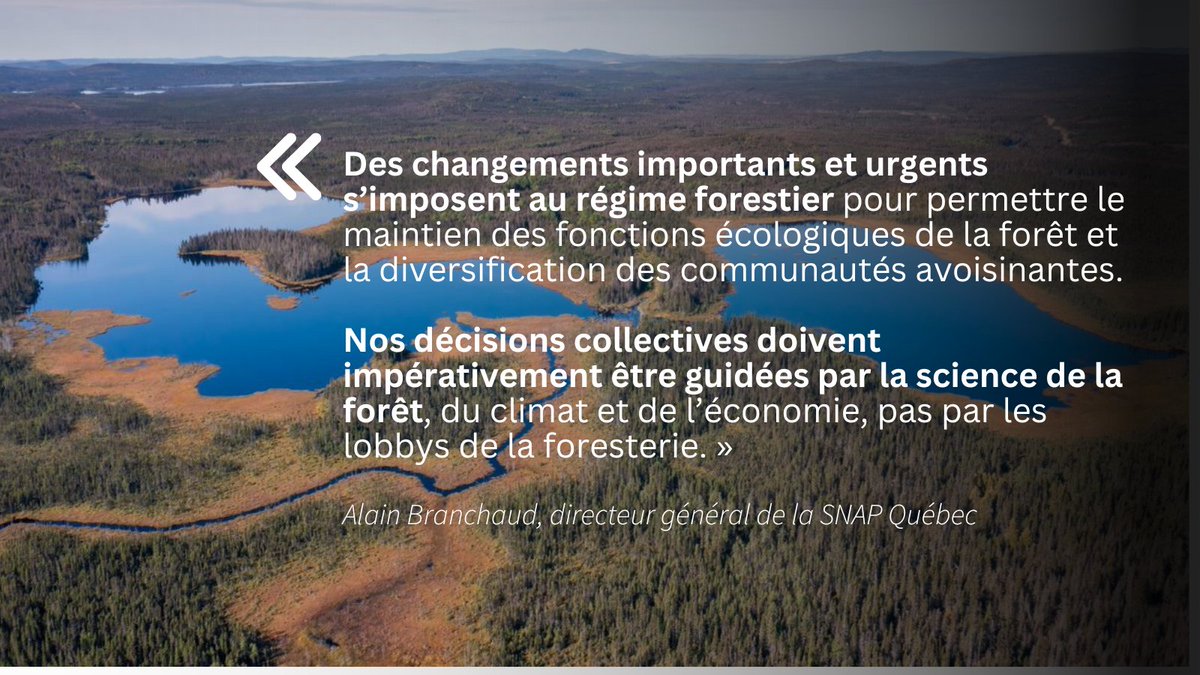 Avenir de la #forêt | Les consultations doivent prioriser:
-protection de la #biodiversité
-atteinte de la cible de 30% d’aires protégées d’ici 2030
-diminution des émissions de GES du secteur forestier
pour accélérer la lutte aux #changementsclimatiques
👉snapquebec.org/couper-moins-c…