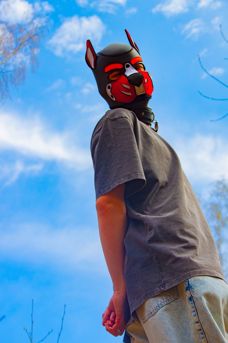 rednaughtypuppy's tweet image. My muzzle is red, the sky is blue~ ✨
📸 by @Eras247 ❤️
Edit by me 🫶
#petplay #petplayer #puppy #puppyplay #puppyplaygay
