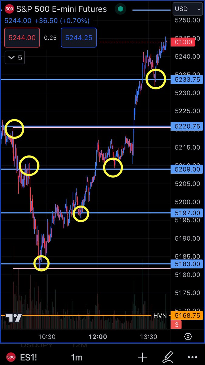 Look how price reacted with each level given to you in last nights review. Confirmations to go short, and confirmations to go long. Bottom tick to within a single point. This isn’t a rare occurrence. Walnut levels catch the action EVERY DAMN DAY! $SPY $ES $MES $SPX $NQ $QQQ