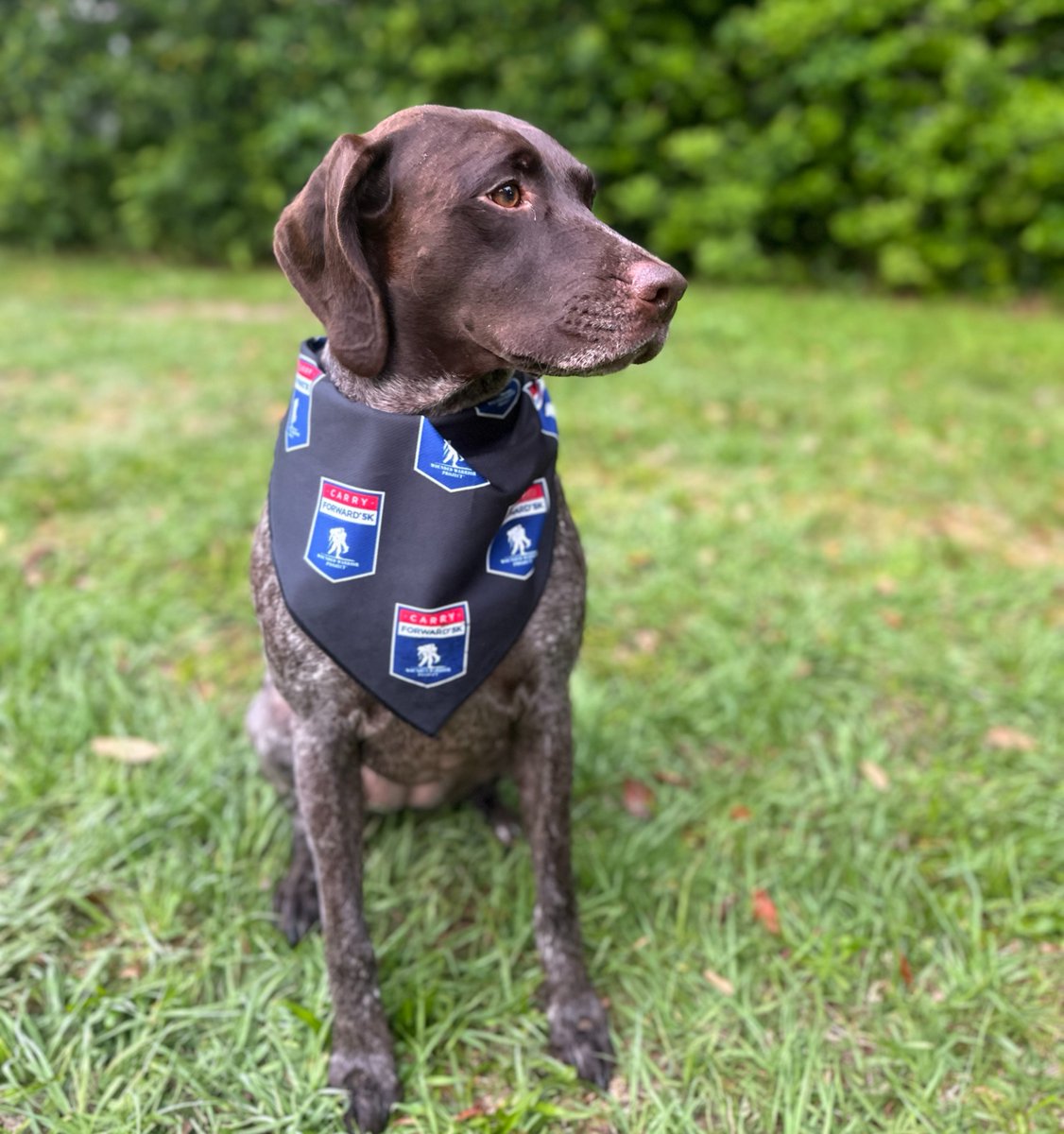 WWP Carry Forward virtual 5K participants can register their dogs for $15 and we'll include an adorable Carry Forward doggie bandana with your participant kit! 🐶 Sign up: wwp.news/3xxyoMb #WWPCarryForward #NationalDogDay (Only available for our virtual 5K.)