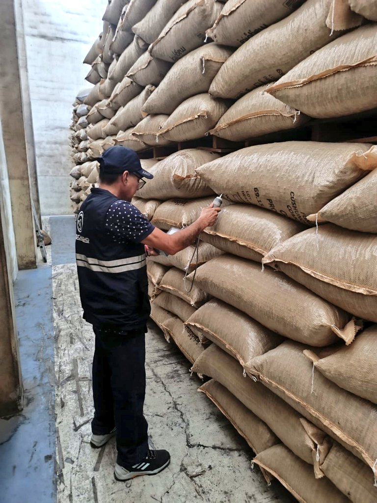 #Guayas | Realizamos inspección fitosanitaria de 50 toneladas de granos de cacao para exportación con destino a Malasia 🇲🇾, con el objetivo de garantizar que el producto vaya libre de plagas; en el cantón Guayaquil.
#ExportamosCalidad