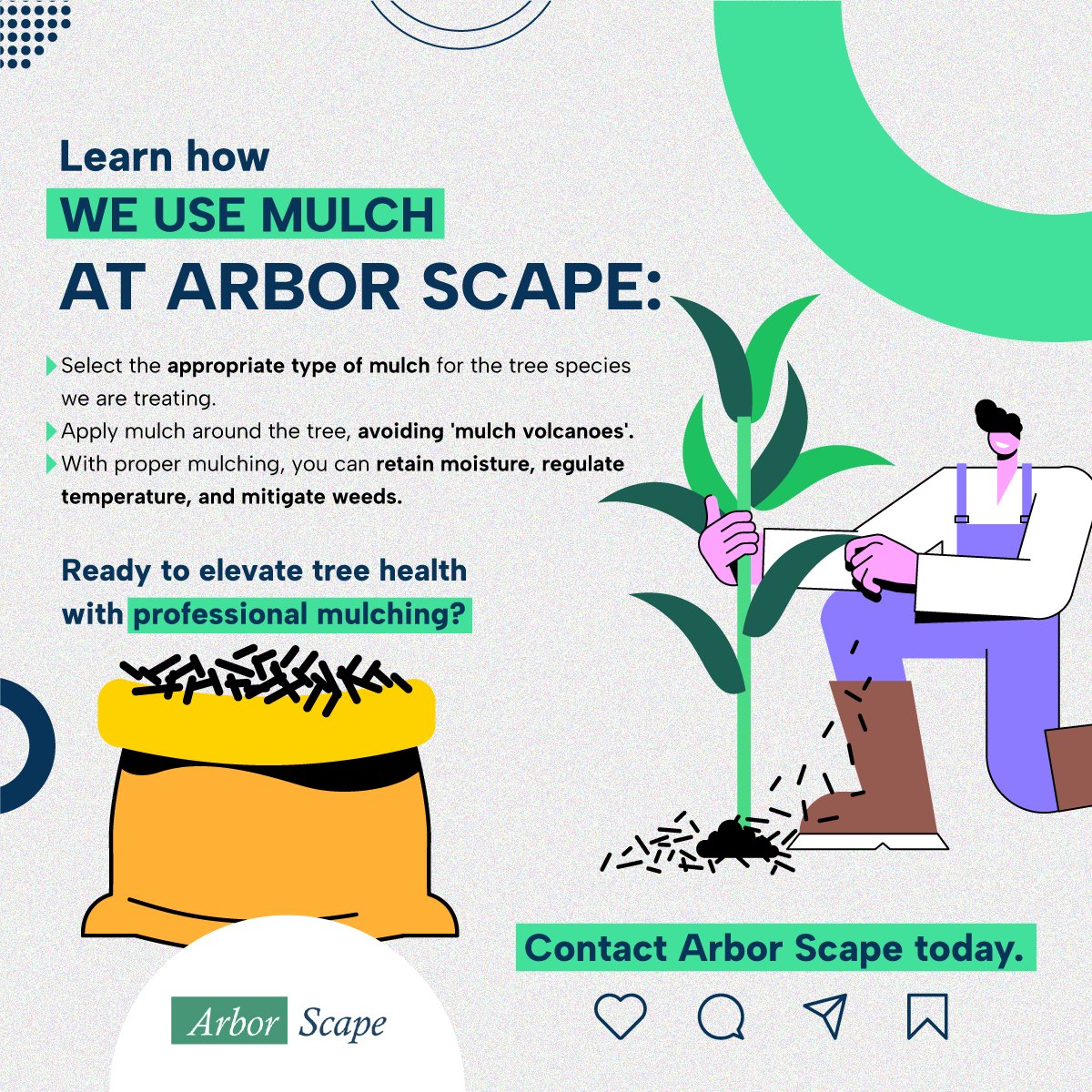 ArborScape's tweet image. Learn the art of proper mulching and discover how our sustainable practices benefit your trees and the planet. 🌍✨ Give your trees what they deserve with quality mulch!

#greenandvibrant #professionaltreecare #treecare #healthygreenspaces #mulching