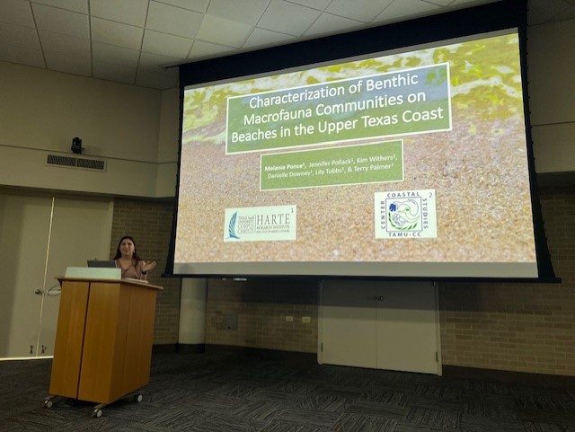 Last week, the Coastal Conservation and Restoration Ecology group presented their research at the Texas Bays and Estuaries Meeting! Congratulations to everyone for showcasing their hard work and to our own Izzy Nykamp who took home second place in the poster session! 🌊🦪🦀👩‍🔬