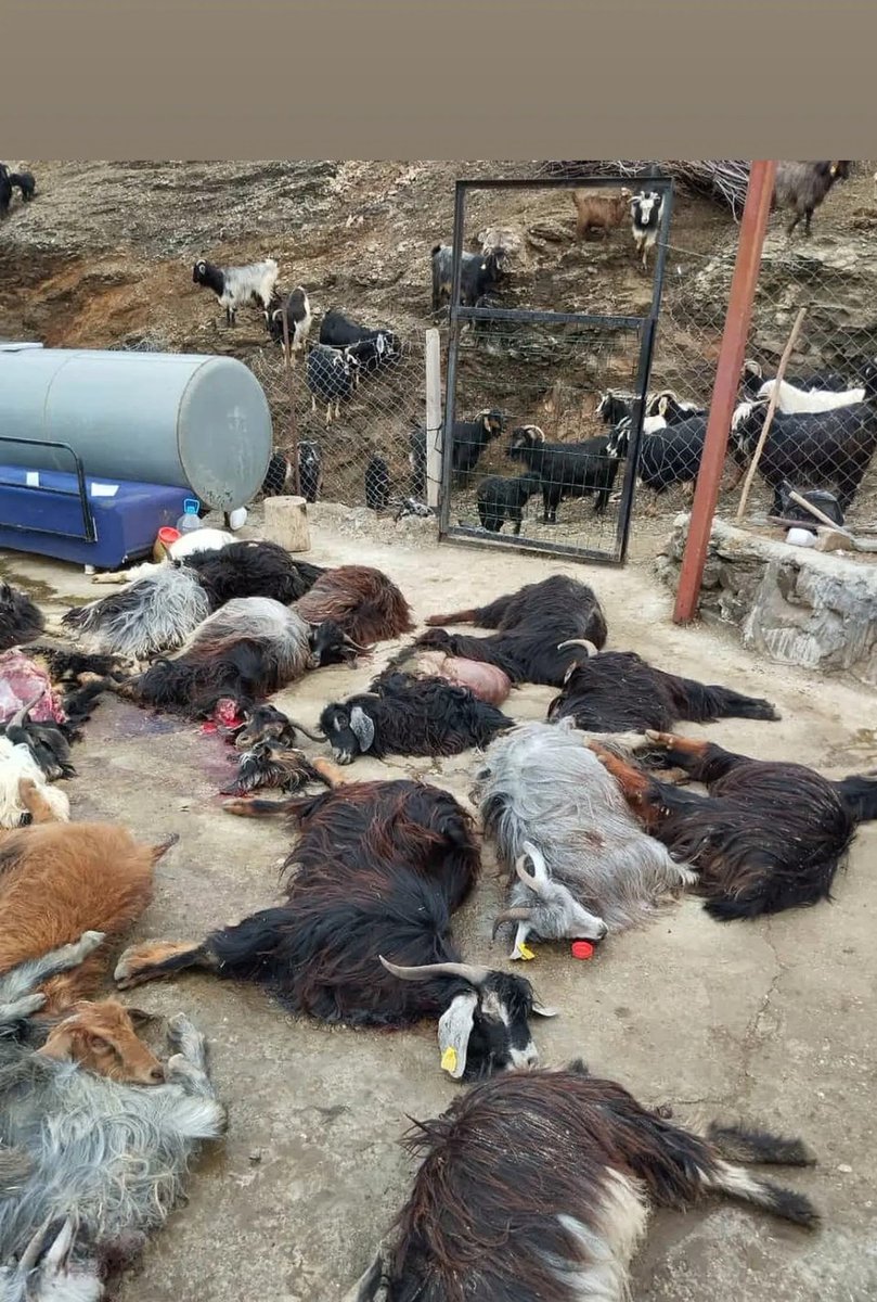 Bilinçli Olmak (@bilincliinssan) on Twitter photo 