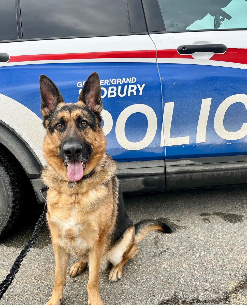 SudburyPolice tweet picture