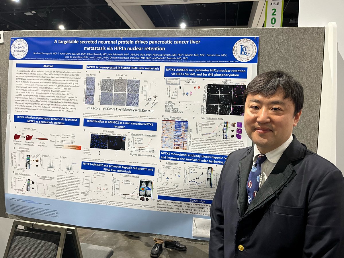 Big congrats to #NIHHemeOncFellow @NoriYamaguchiMD, who just received a #patent on the results he presented at #AACR24 describing the targetable secreted protein which his research shows drives pancreatic cancer #metastatic colonization and HIF1a nuclear retention. @AACR #pancsm