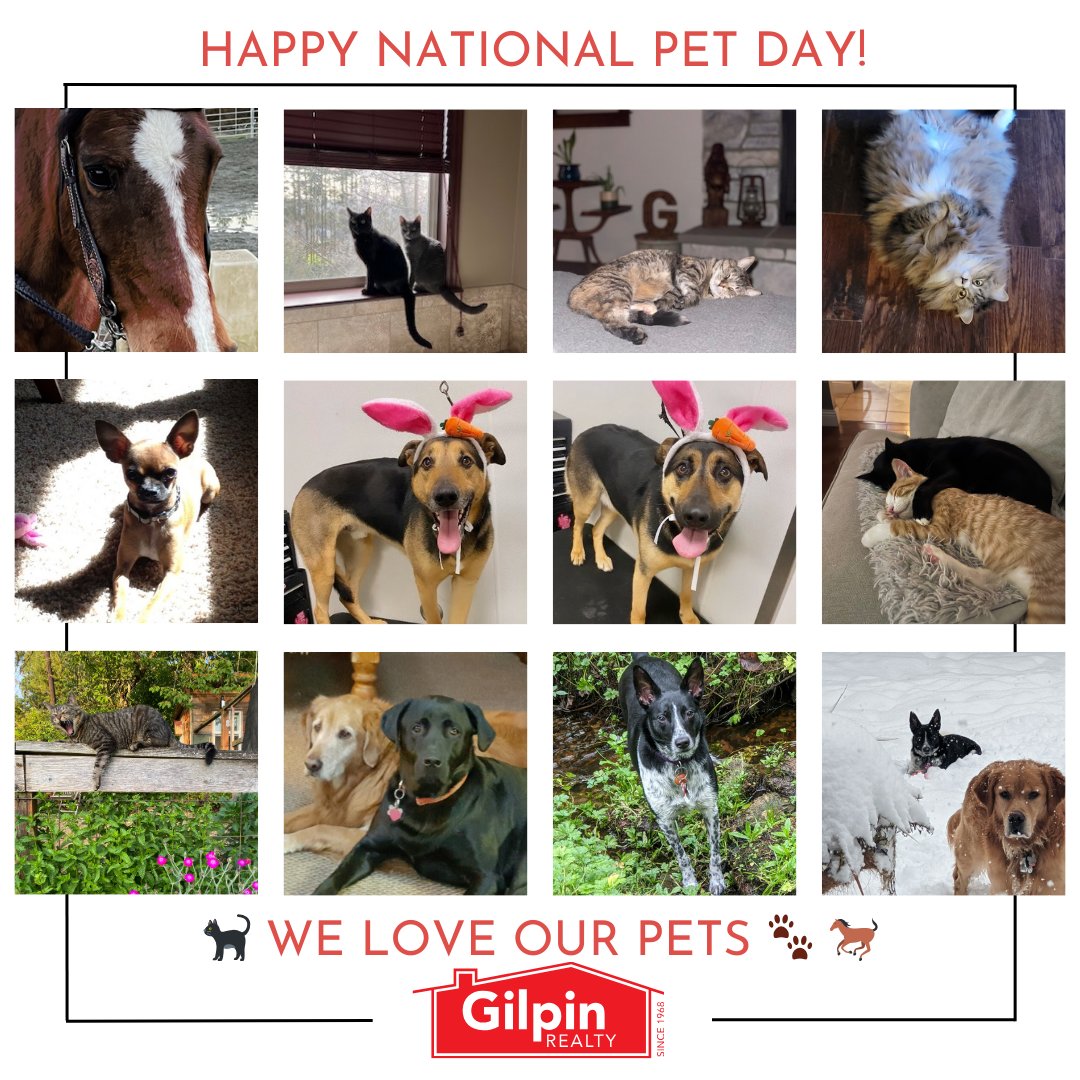 🎉 Happy National Pet Day! 🐾 We adore our furry companions! 💕 Share pics of your pets, we'd love to see them! 📸 

.
.
.
.
#GilpinRealty #Snohomish #RealEstate #HouseHunting #HomesForSale #Pets #PetsofInstagram