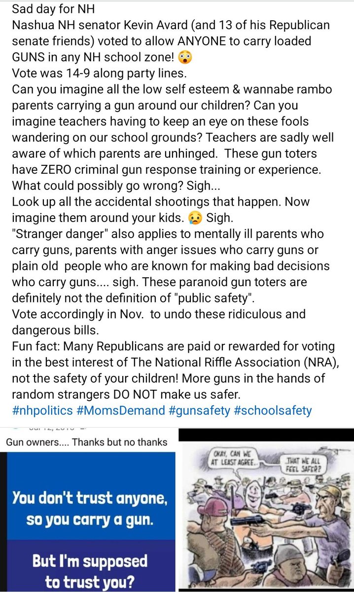 NH republicans voted to allow ANY stranger to carry guns in NH school zones! Do you remember 'stranger danger'? Now picture the stranger having a gun! Imagine these gun toters with anger issues, mental health issues or make bad decisions.Sigh 
 #NHPolitics #Moms #GunSafety #guns