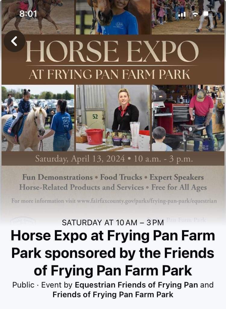 This Saturday, April 13, 2024, in Herndon, Virginia, come see Sabine Desper and Akhal-Teke Foundation dressage stallion and Breyer Horses model Adamek in person. fairfaxcounty.gov/parks/frying-p… #akhalteke #stallion #AdamekAT #BreyerAdamek