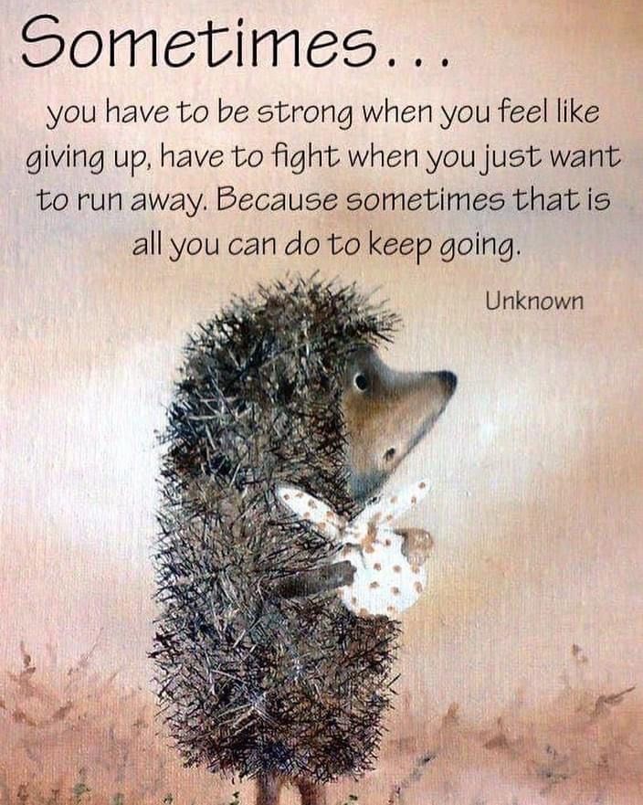 Sometimes... You have to be strong when you feel like giving up Have to fight when you just want to run away. Because sometimes that is all you can do to keep going.